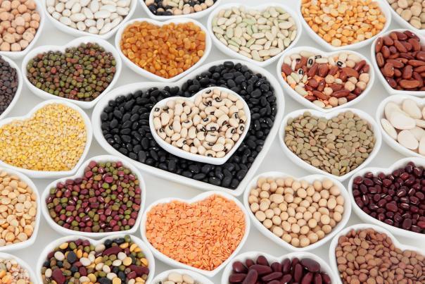 University of Reading researchers say its time to ‘raise the pulse’ University of Reading researchers say its time to ‘raise the pulse’
