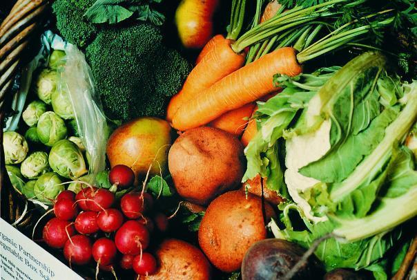 Vegan Society calls for Government action over lack of fruit & veg consumption