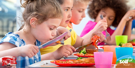 Soil Association calls for bolder action to get more British produce on public sector plates Soil Association calls for bolder action to get more British produce on public sector plates